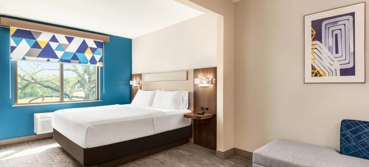 莫比尔西- I-10智选假日套房酒店(Holiday Inn Express & Suites Mobile West - I-10)图片