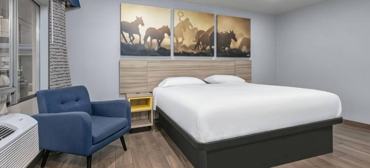 沃斯堡南戴斯酒店(Days Inn by Wyndham South Fort Worth)图片