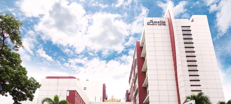 阿玛利亚南榜酒店(Amalia Hotel Lampung)图片