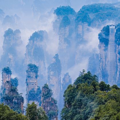 张家界+天门山4日3晚拼小团