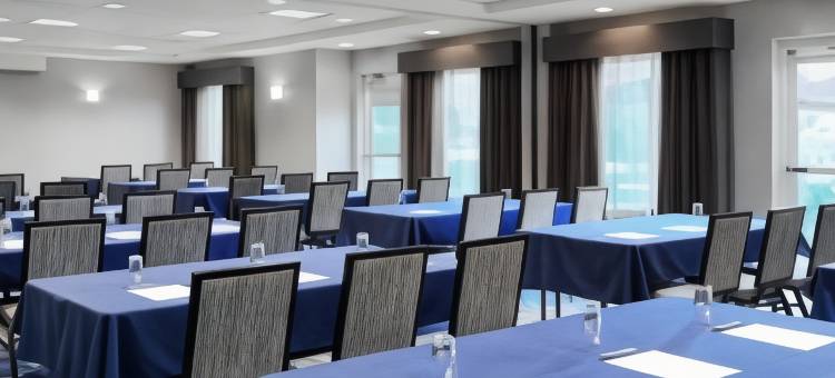 阿伦敦西希尔顿花园旅馆(Hilton Garden Inn Allentown West)图片