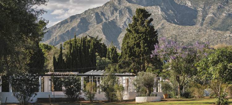 马贝拉俱乐部酒店(Marbella Club Hotel)图片