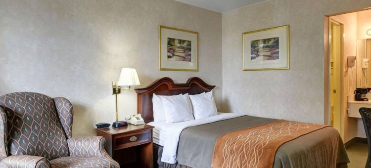 泰森斯角品质酒店(Quality Inn Vienna - Tysons Corner)图片