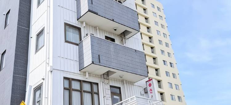 大网樱花酒店(Sakura Hotel Oami)图片