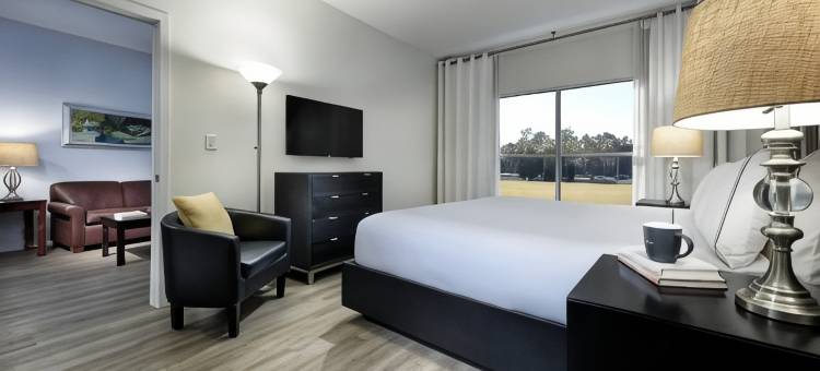 奥兰多庆典美利亚套房酒店(Meliá Orlando Celebration)图片