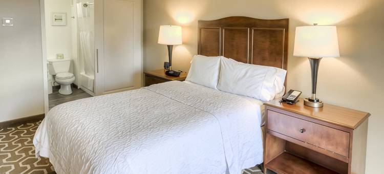 坦帕国际机场/西岸欢朋酒店(Hampton Inn Tampa-Airport/Westshore)图片
