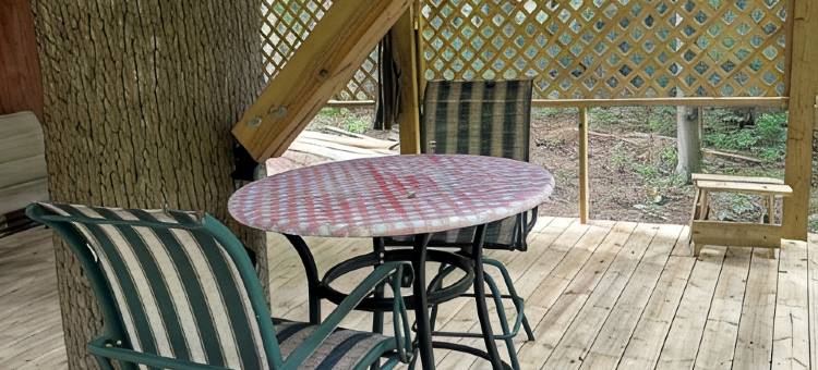 宾州贝德福德县河畔绝美树屋,(Spectacular Riverfront Treehouse in Beautiful Bedford County, PA,)图片
