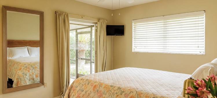 湖畔宽敞四卧室度假屋-恒温泳池、热水浴缸，近一切！(Spacious 4Br Lakefront Getaway – Heated Pool, Hot Tub  Near Everything!)图片