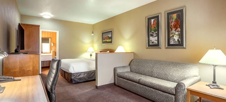 克拉丽奥套房酒店-圣乔治会展中心区(Clarion Suites St George - Convention Center Area)图片