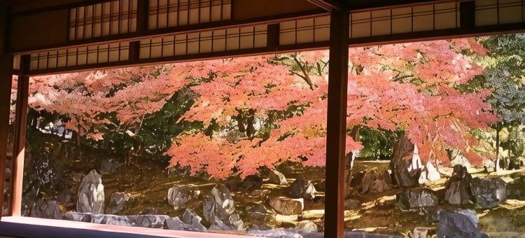 京都EN酒店(EN Hotel Kyoto)图片