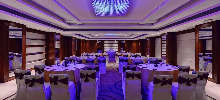 斋浦尔洛德广场酒店(Lords Plaza Jaipur)图片