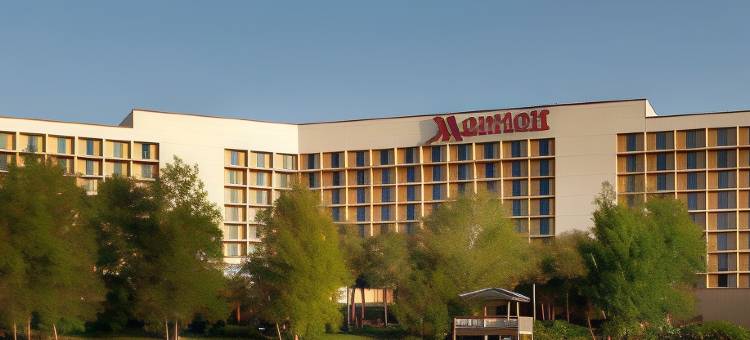 奥兰多机场湖畔万豪酒店(Marriott Orlando Airport Lakeside)图片