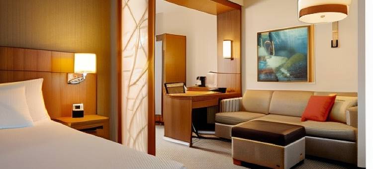博卡－拉顿凯悦嘉轩酒店(Hyatt Place Boca Raton)图片