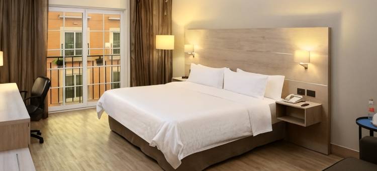 Holiday Inn Express 托雷翁(Holiday Inn Express Torreon)图片
