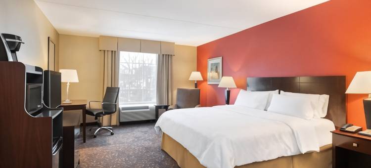 Holiday Inn 挪利其(Holiday Inn Norwich)图片