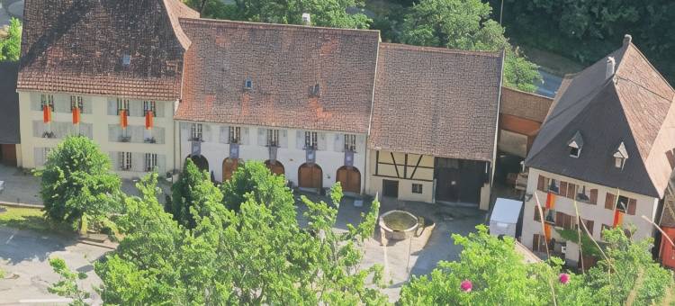 阿尔萨斯费雷特公馆酒店(La Maison des Fontaines d'Alsace)图片