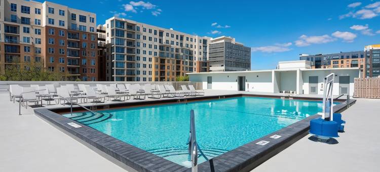 Holiday Inn 盖恩斯维尔大学CTR(Holiday Inn Gainesville-University Ctr)图片