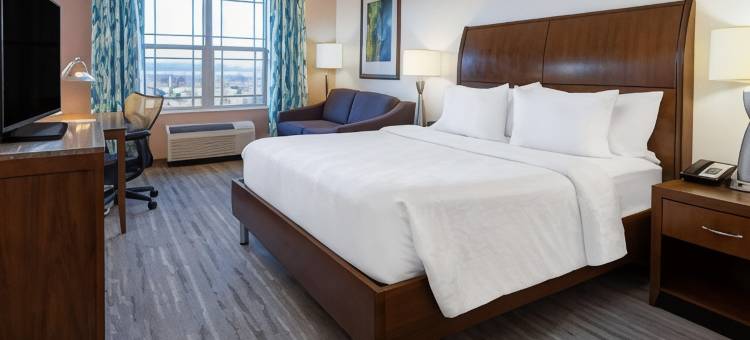 罗阿诺克希尔顿花园酒店(HIlton Garden Inn Roanoke)图片