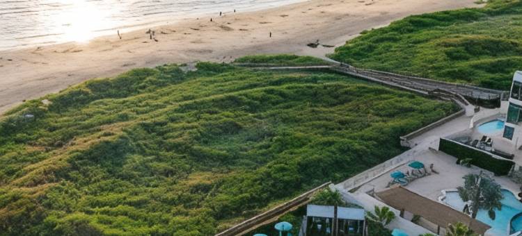 玛格丽塔维尔海滩度假村-南帕诸岛(Margaritaville Beach Resort South Padre Island)图片