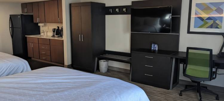 智选假日套房酒店夏洛特康和I - 85(Holiday Inn Express & Suites CHARLOTTE-CONCORD-I-85 by IHG)图片