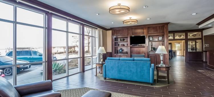 舒适套房酒店-哥伦比亚大学城(Comfort Suites Columbia - University Area)图片