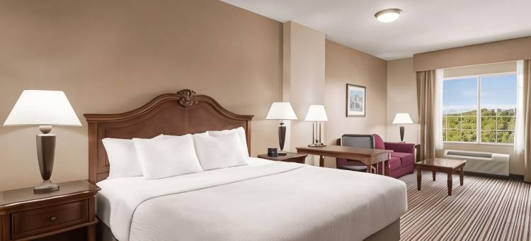 特立尼达拉昆塔温德姆套房酒店(La Quinta Inn & Suites by Wyndham Trinidad)图片