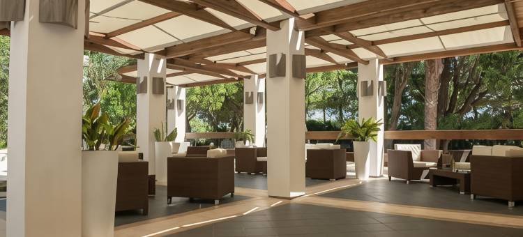 皮佐穆诺维耶斯泰宫酒店(Pizzomunno Vieste Palace Hotel)图片