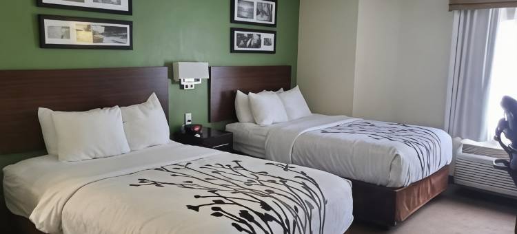 南海文霍恩莱克舒眠酒店(Sleep Inn Horn Lake-Southaven)图片