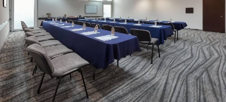 墨西哥城波朗科温德姆花园酒店(Hilton Garden Inn Mexico City Polanco)图片