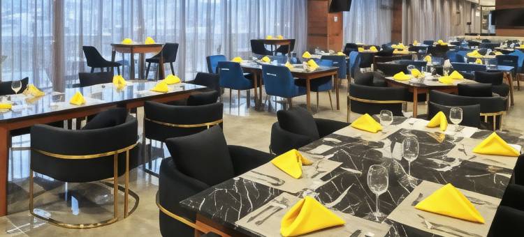 蒙特雷欧比斯帕多希尔顿花园酒店(Hilton Garden Inn Monterrey Obispado)图片