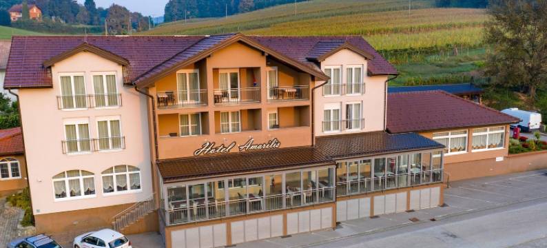 阿马里利斯酒店(Hotel Amarilis)图片