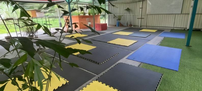 科洛雷阿雷纳尔酒店(Hotel Colores del Arenal)图片