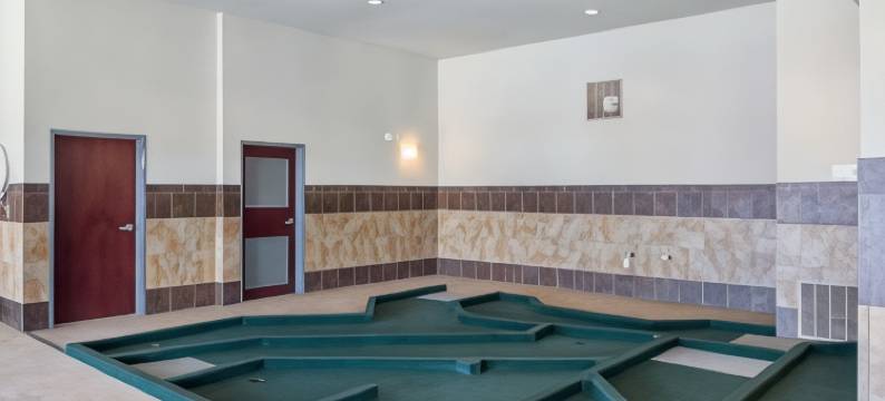 蒙那汉斯 I-20 舒适套房酒店(Comfort Inn & Suites Monahans I-20)图片