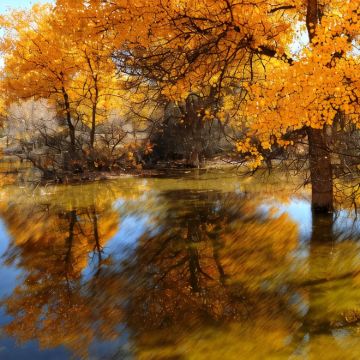 内蒙古+宁夏7日6晚私家团