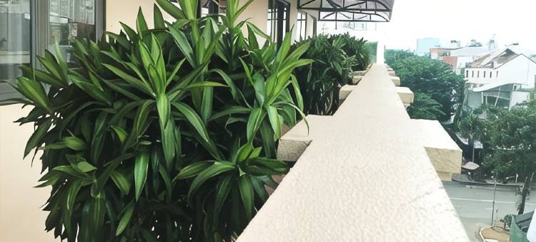 西贡帝国酒店(Imperial Saigon Hotel)图片