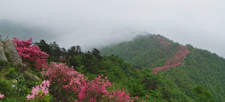 英山桃花源客栈图片