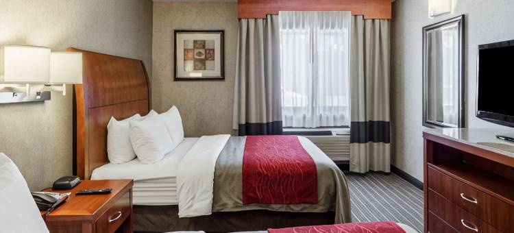 舒适套房酒店(Comfort Inn & Suites)图片