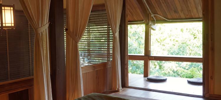Harmony Botanical Garden Stay - 300 Plant Species, Natural Stream and Small Pool图片