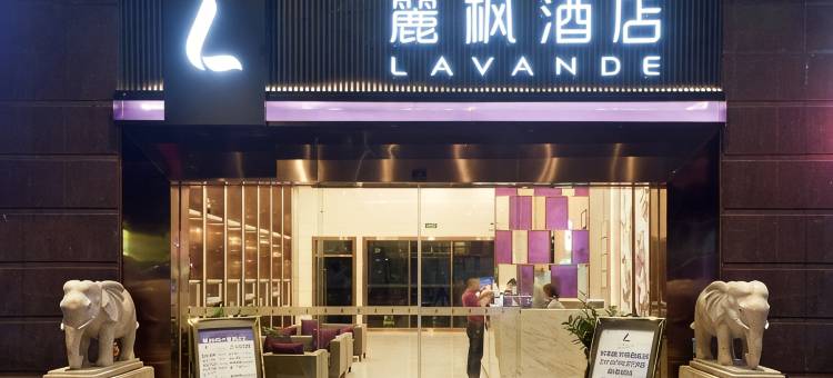 麗枫酒店(东莞南城西平地铁站店)图片