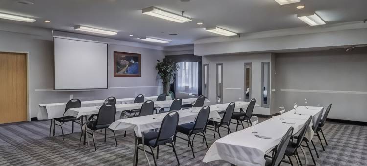 丹佛机场凯艺套房酒店-盖特威公园(Quality Inn and Suites Denver Airport - Gateway Park)图片