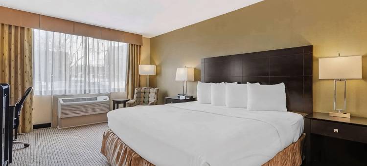 沃特敦德拉姆堡贝斯特韦斯特酒店(Best Western Watertown Fort Drum)图片