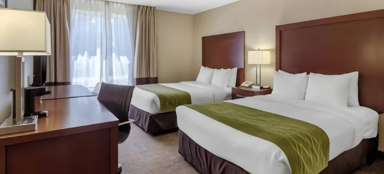 北圣彼得堡舒适酒店(Comfort Inn St Petersburg North)图片