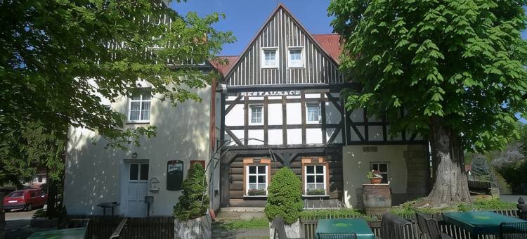 乌泽林尼奥斯特罗姆酒店(Hotel U Zeleného Stromu - Zum Grünen Baum)图片