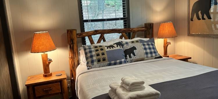 徒步/垂钓、托科阿河；热水浴缸、宠物友好山间木屋(Mountain Cabin Near Hikes/Fishing; Hot Tub, Dog-Friendly, Toccoa River)图片