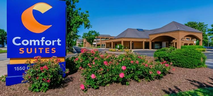 诺福克郡切萨皮克舒适套房酒店(Comfort Suites Chesapeake - Norfolk)图片