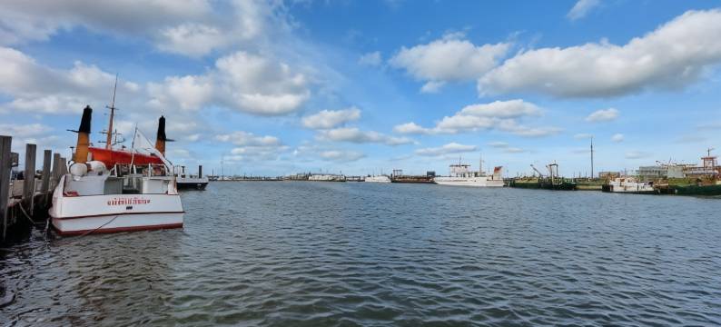 北迪克街旅馆(Pension Norddeicher Straße)图片