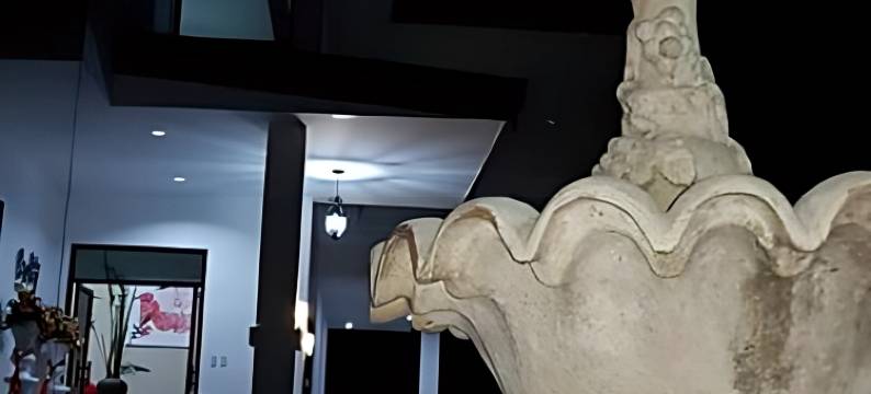 B&S兰花套房酒店(B&S Orchids Suites Hotel)图片