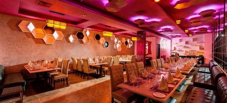 温德姆华美达尼姆拉纳酒店(Ramada by Wyndham Neemrana)图片
