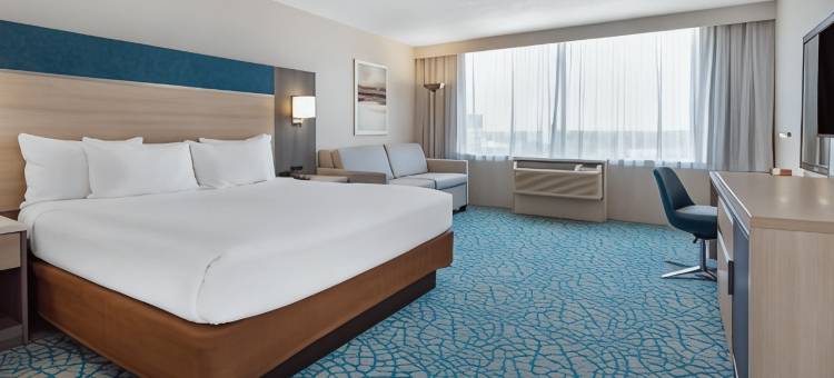 基西米公园假日酒店度假村(Holiday Inn Resort Kissimmee by the Parks)图片