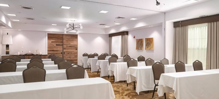 凤凰城机场希尔顿花园旅馆(Hilton Garden Inn Phoenix Airport)图片